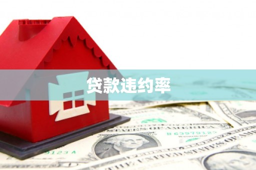 东凤贷款违约率