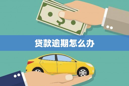 东凤贷款逾期怎么办