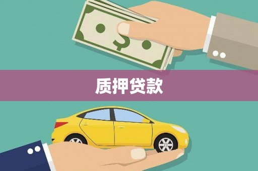 东凤质押贷款