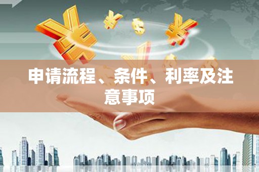 东凤申请流程、条件、利率及注意事项