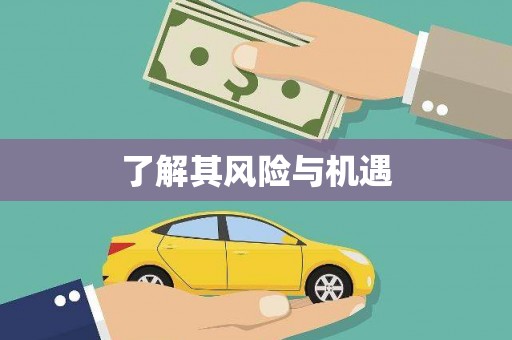 东凤了解其风险与机遇