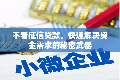 东凤不看征信贷款，快速解决资金需求的秘密武器
