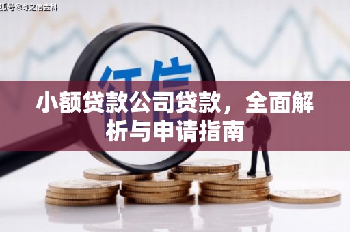 东凤小额贷款公司贷款，全面解析与申请指南