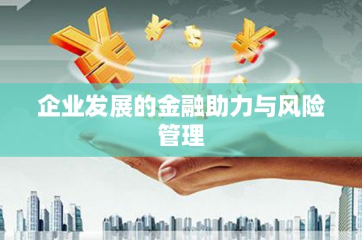 东凤企业发展的金融助力与风险管理