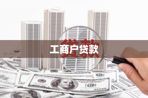 东凤工商户贷款