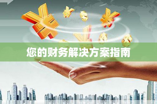 东凤您的财务解决方案指南