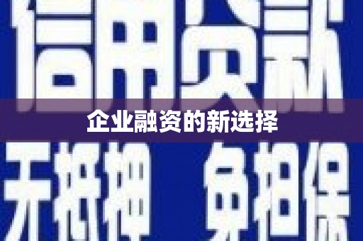 东凤企业融资的新选择