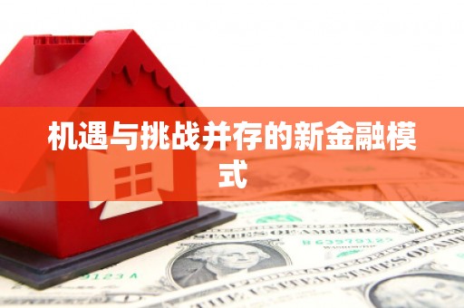 东凤机遇与挑战并存的新金融模式