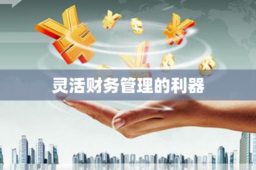 东凤灵活财务管理的利器