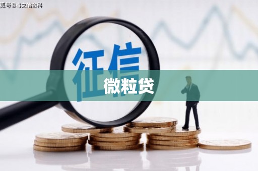 东凤微粒贷
