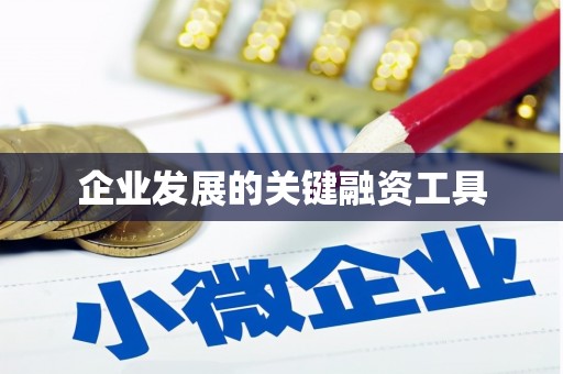 东凤企业发展的关键融资工具