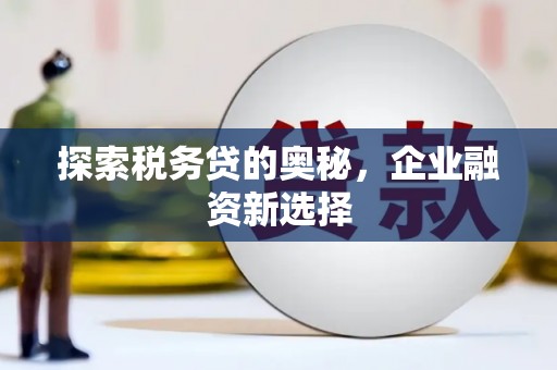 东凤探索税务贷的奥秘，企业融资新选择