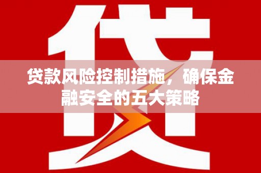 东凤贷款风险控制措施，确保金融安全的五大策略