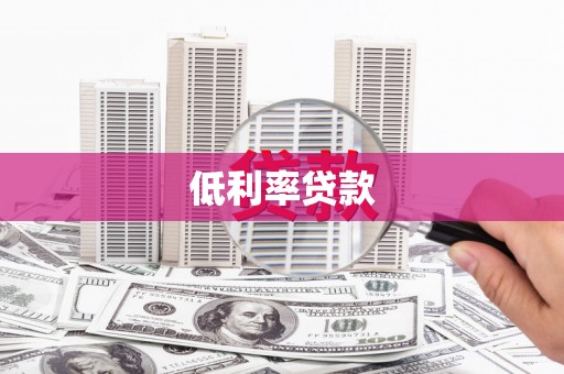 东凤低利率贷款