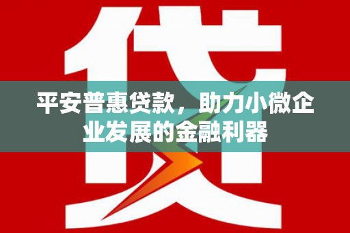 东凤平安普惠贷款，助力小微企业发展的金融利器