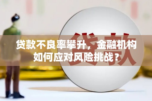 东凤贷款不良率攀升，金融机构如何应对风险挑战？
