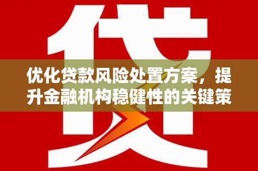 东凤优化贷款风险处置方案，提升金融机构稳健性的关键策略