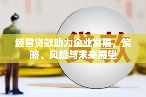 东凤经营贷款助力企业发展，策略、风险与未来展望