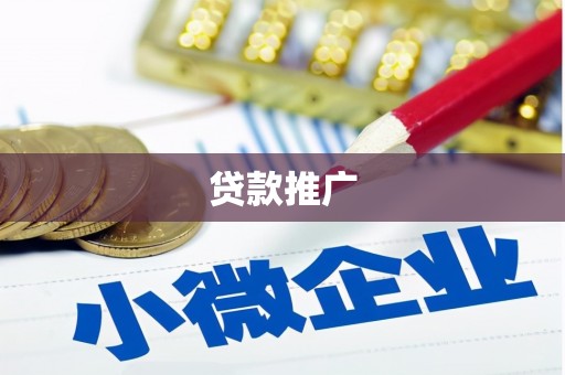 东凤贷款推广