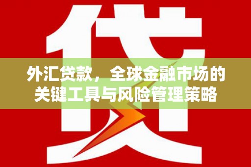 东凤外汇贷款，全球金融市场的关键工具与风险管理策略