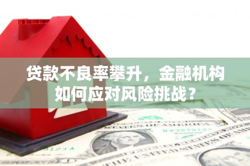 东凤贷款不良率攀升，金融机构如何应对风险挑战？