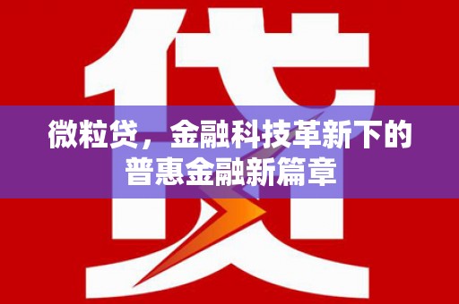 东凤微粒贷，金融科技革新下的普惠金融新篇章
