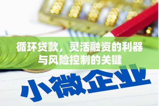 东凤循环贷款，灵活融资的利器与风险控制的关键