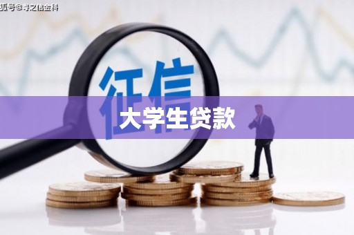 东凤大学生贷款