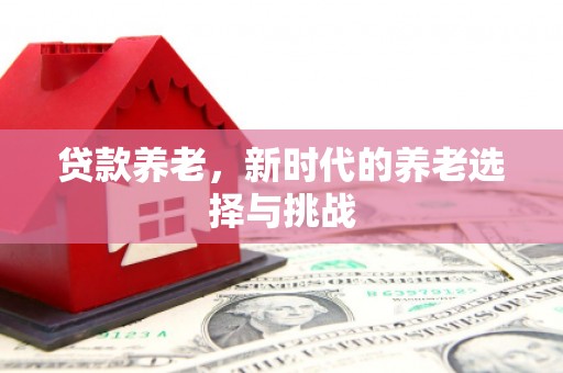 东凤贷款养老，新时代的养老选择与挑战