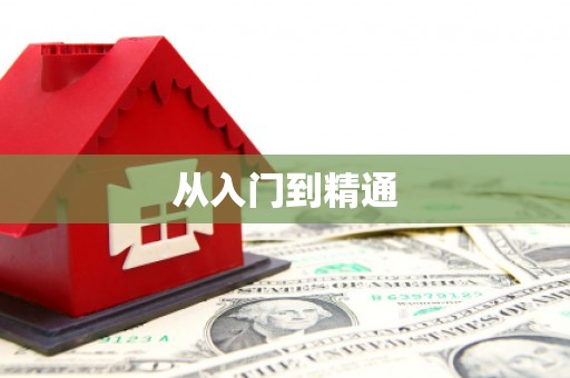 东凤从入门到精通