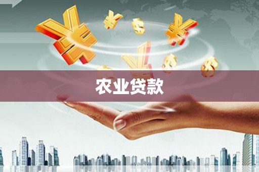 东凤农业贷款
