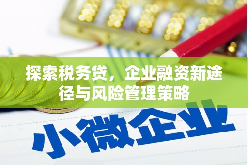 东凤探索税务贷，企业融资新途径与风险管理策略