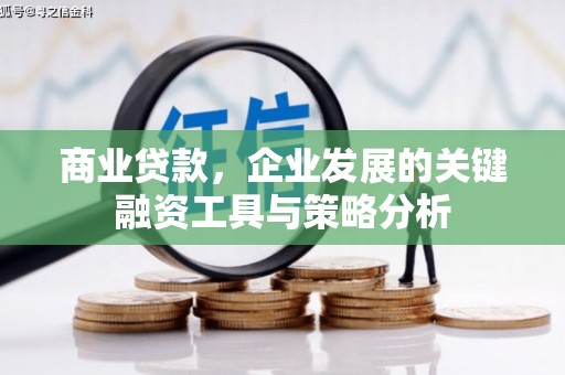 东凤商业贷款，企业发展的关键融资工具与策略分析