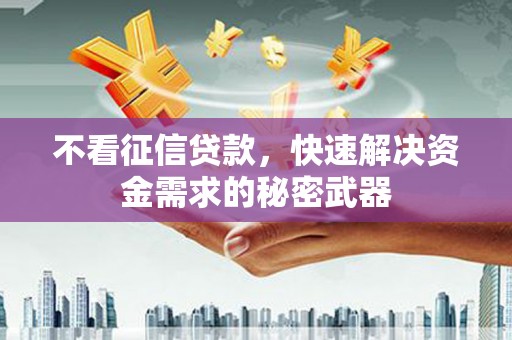东凤不看征信贷款，快速解决资金需求的秘密武器