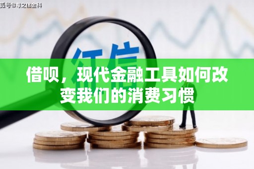 东凤借呗，现代金融工具如何改变我们的消费习惯