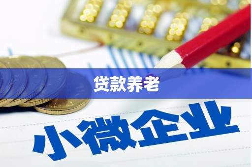 东凤贷款养老
