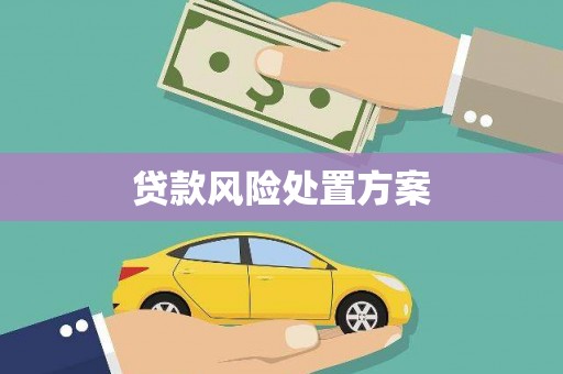 东凤贷款风险处置方案