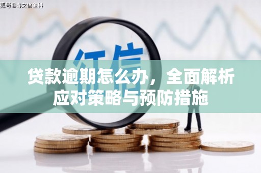 东凤贷款逾期怎么办，全面解析应对策略与预防措施