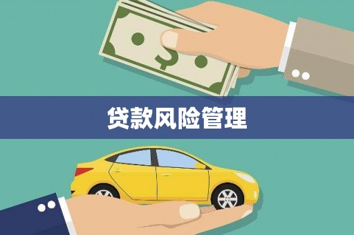 东凤贷款风险管理