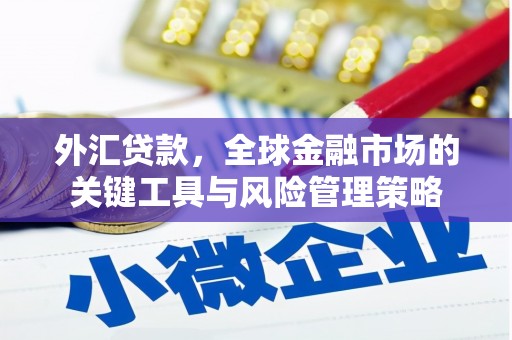 东凤外汇贷款，全球金融市场的关键工具与风险管理策略