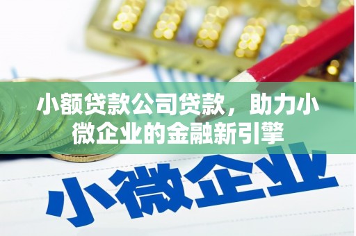 东凤小额贷款公司贷款，助力小微企业的金融新引擎
