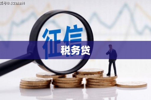 东凤税务贷