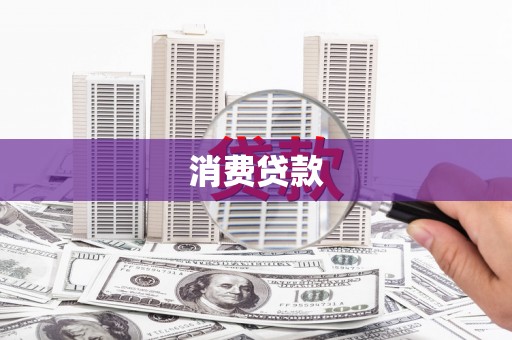 东凤消费贷款