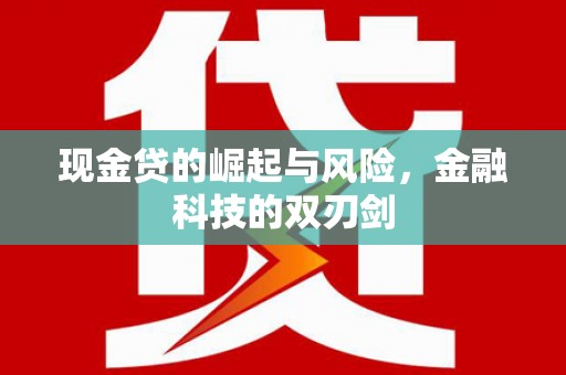 东凤现金贷的崛起与风险，金融科技的双刃剑