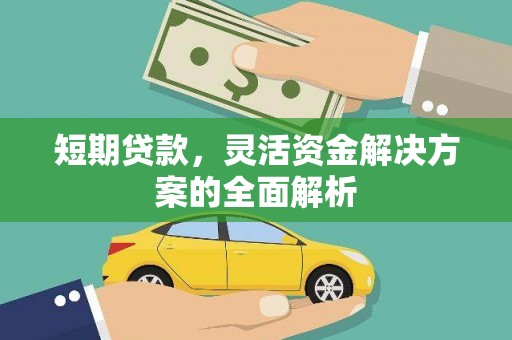 东凤短期贷款，灵活资金解决方案的全面解析