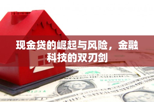 东凤现金贷的崛起与风险，金融科技的双刃剑
