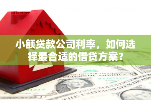 东凤小额贷款公司利率，如何选择最合适的借贷方案？