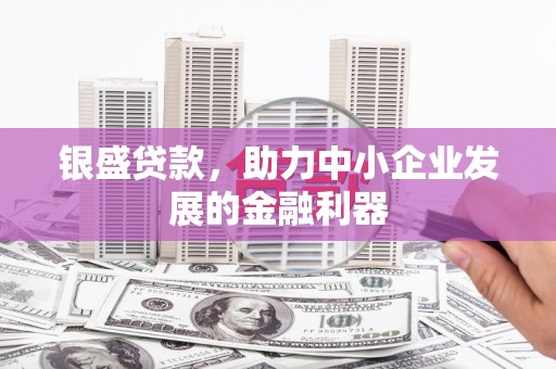 东凤银盛贷款，助力中小企业发展的金融利器