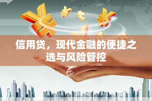 东凤信用贷，现代金融的便捷之选与风险管控