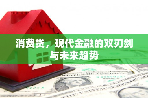 东凤消费贷，现代金融的双刃剑与未来趋势